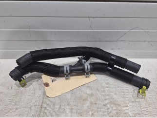 Hose